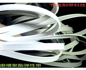 磨槽聚酯弹性带